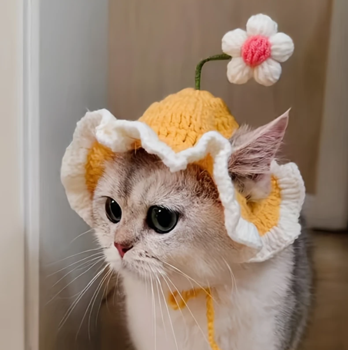 Crochet hat pattern cat